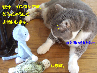 f0008935_1224627.gif