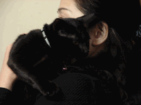c0136736_21253646.gif