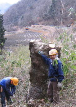 e0049740_1858371.jpg
