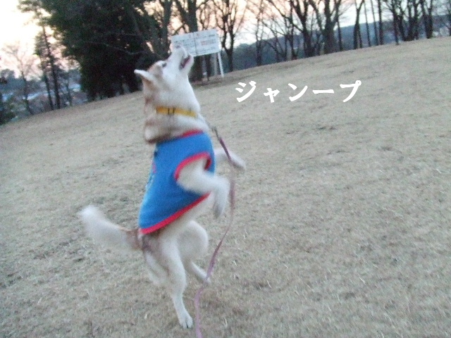 e0121548_20442138.jpg