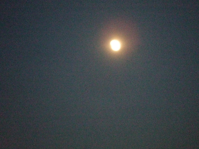 e0121548_20482264.jpg