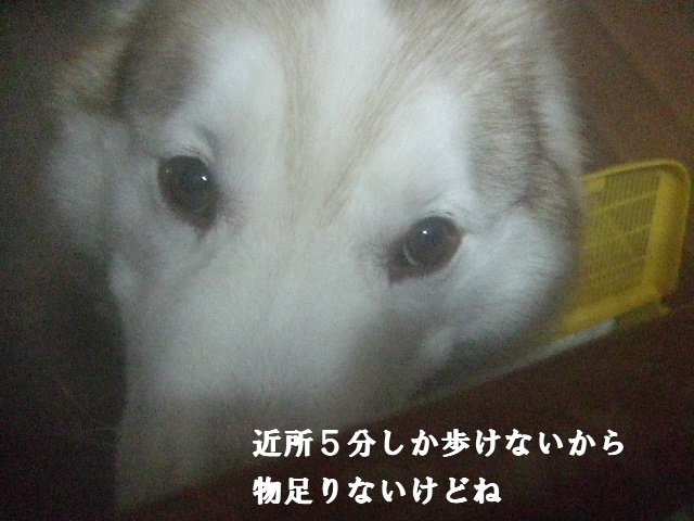 e0121548_2057190.jpg