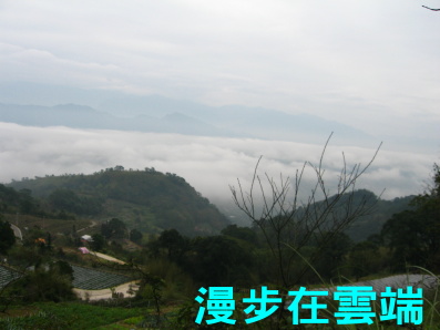 d0013150_1831562.jpg