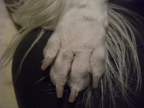f0158956_18315342.jpg