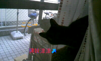 a0075358_2347426.jpg