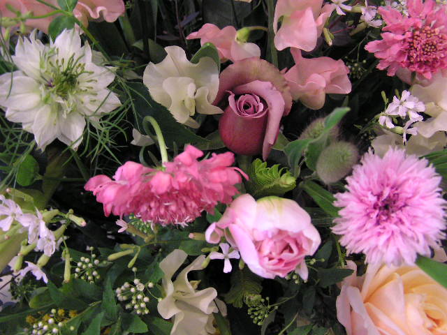 d0084765_1911296.jpg