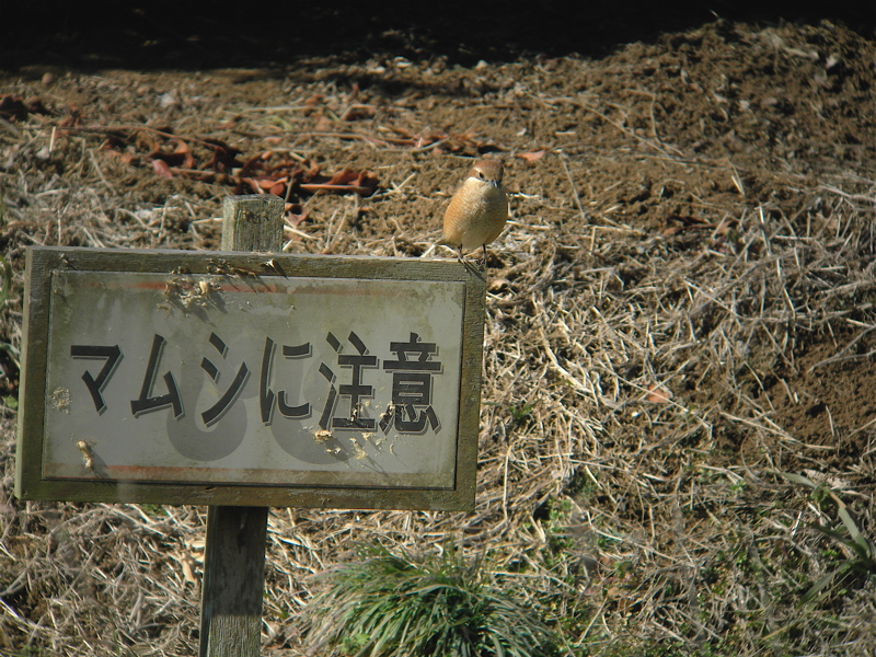 e0015377_21401880.jpg