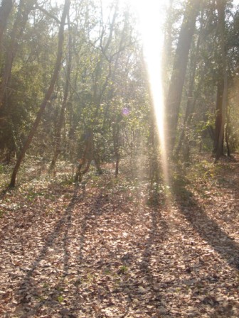 f0136579_21444743.jpg