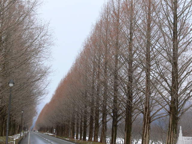 c0144185_1421124.jpg