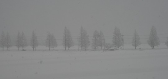 c0144185_1423819.jpg