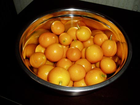 e0100589_18241222.jpg