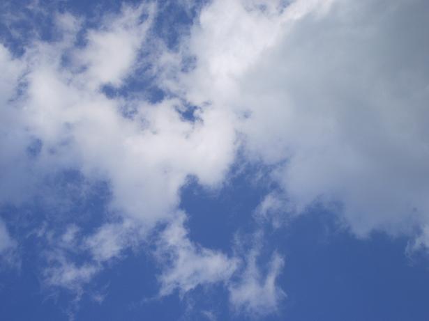 e0122194_1533471.jpg
