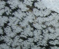 e0122199_16412956.jpg
