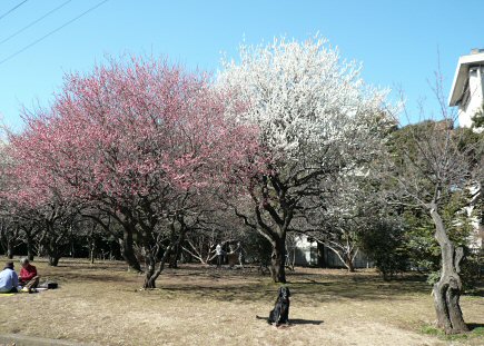c0050400_0342381.jpg
