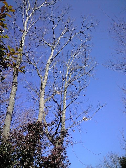 b0083902_023959.jpg