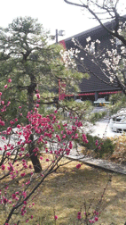 d0141903_3343376.gif
