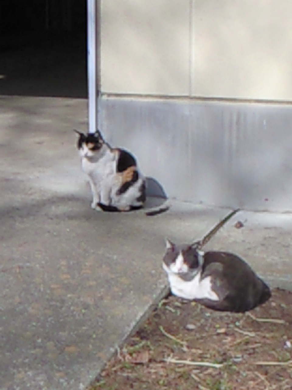 c0153412_10424831.jpg