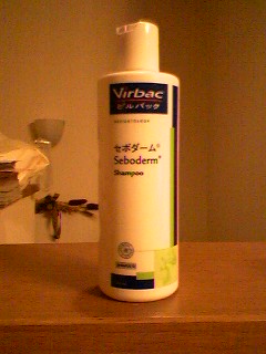 c0150520_22433230.jpg