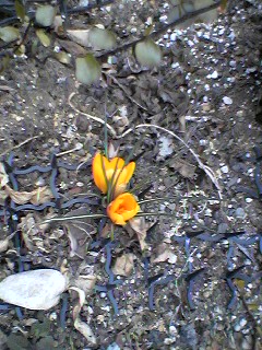 c0150520_22521774.jpg