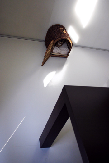 e0090124_88736.jpg