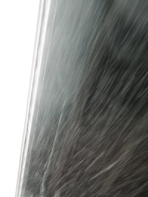 d0017632_11112020.jpg
