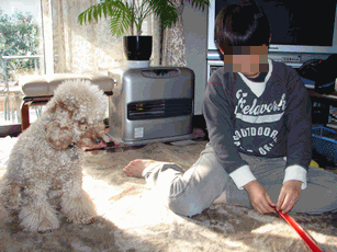 c0136736_14131975.gif