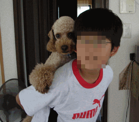 c0136736_14141269.gif