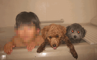 c0136736_14182336.gif
