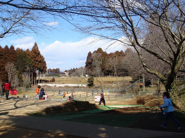 a0046339_15123215.jpg