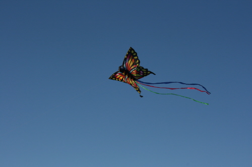 e0104941_3173036.jpg