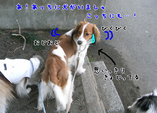 d0013149_11152431.jpg