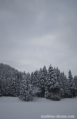 c0145453_15262416.jpg
