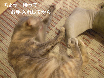 e0118654_12232841.jpg