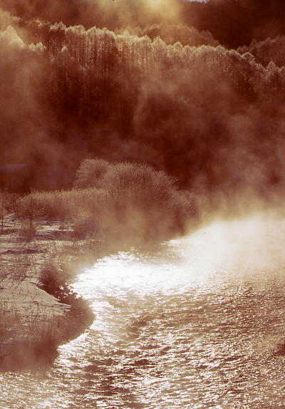 b0083855_0233549.jpg