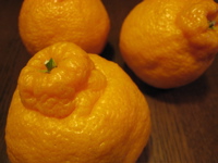 c0153259_2015699.jpg