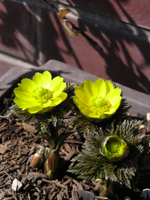 f0074659_23414157.jpg