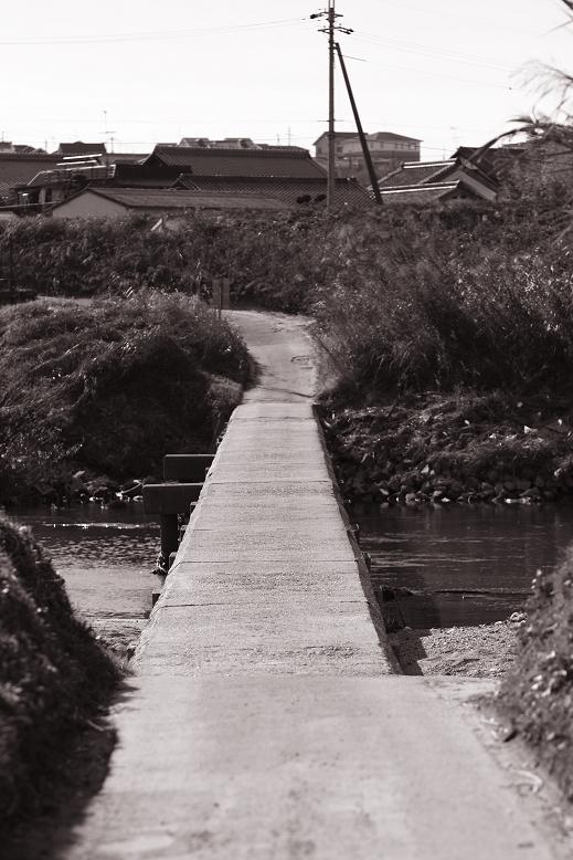 c0153672_017238.jpg