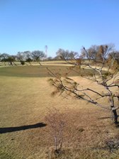 c0102375_7431418.jpg