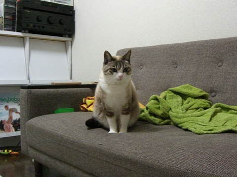a0013479_23322968.jpg