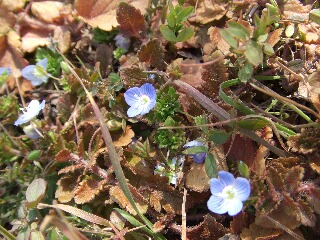 c0140086_1564467.jpg