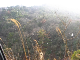 c0153292_011395.jpg
