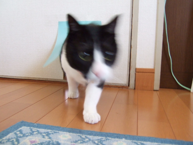 c0150193_1572762.jpg
