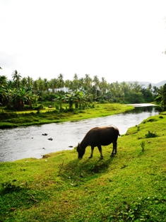 c0125311_244287.jpg