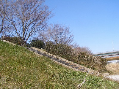 d0147812_1220974.jpg