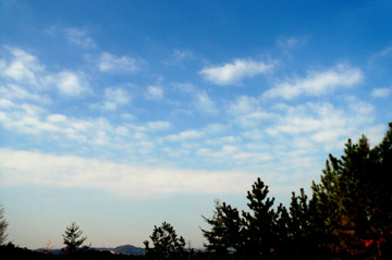 e0083517_0551522.jpg