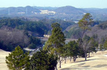 e0083517_0554515.jpg
