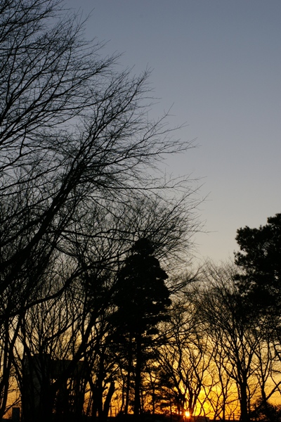 c0107924_1837115.jpg
