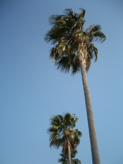 d0017632_1915455.jpg