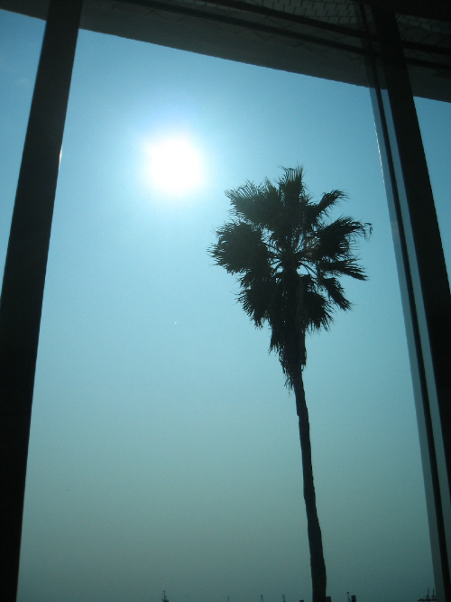 d0017632_19301670.jpg