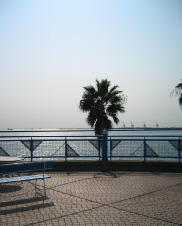 d0017632_194241.jpg